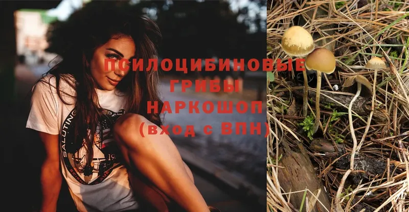 Псилоцибиновые грибы MAGIC MUSHROOMS  Мирный 